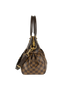 Trevi PM, bottom view